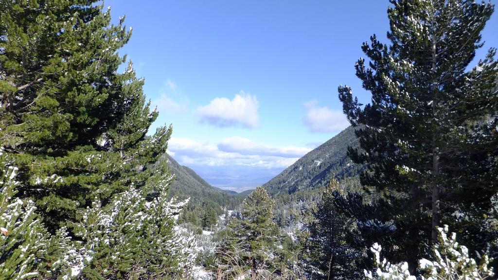 Bansko Prespa Ski Penthouse 客房 照片